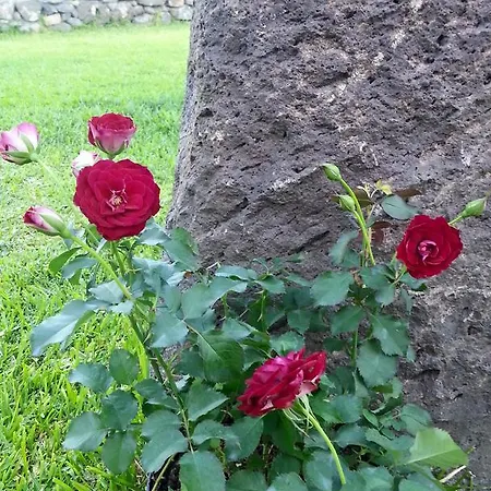 Gospodarstwo agroturystyczne Il Giardino Degli Ovali