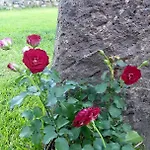 Lantgård Il Giardino Degli Ovali